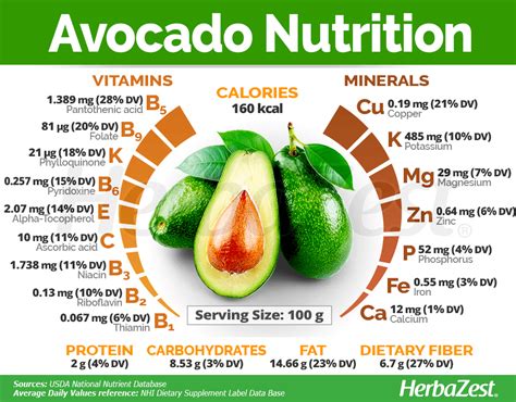 do avocados contain omega 3.